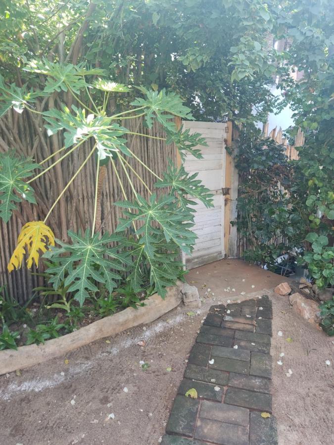 Casa Tonantzin Hotel Zipolite Eksteriør billede